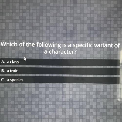 Which of the following is a specific variant of a character?