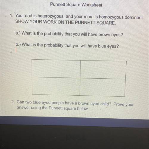 Hi i need help with this Punnet square table , please help if you can!!!
