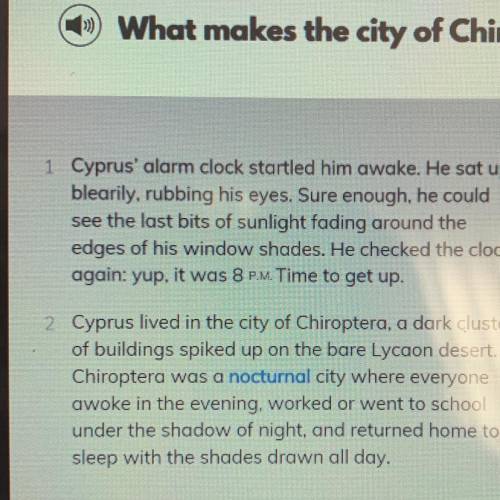 What makes the city of Chiroptera unique?

It’s a modern city
It’s a nocturnal city 
It’s always n