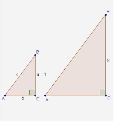 The diagram shows the lengths of corresponding sides of similar triangles A'B'C' and ABC. Which exp