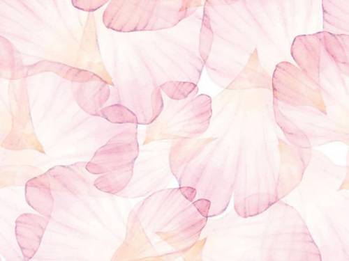Which term BEST describes the value in this image?
 

Sheer pink flower petals.
pink
light
secondar