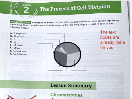I HAVE ASKED THREE TIMES! PLEASE HELP! CELL CYCLE! CELL DIVISION! PLEASE HELP AND GIVE REAL ANSWERS