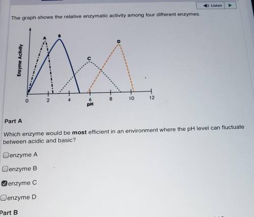 Which enzyme would be the most efficient