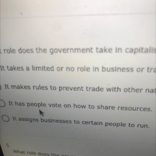 What role does the government take in capitalism