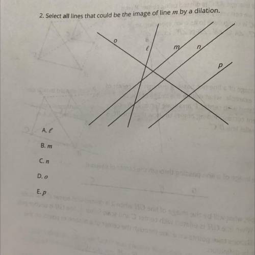 Help geometry select all lines that could be the image of line m after a dilation