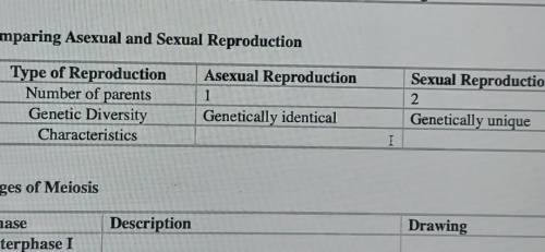 Comparing Asexual and Sexual reproduction