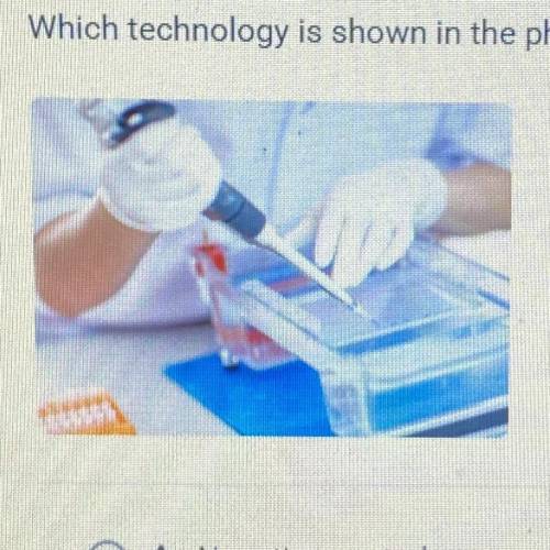 Which technology is shown in the photograph?

A. Negative controls
B. Gel electrophoresis
C. Biost