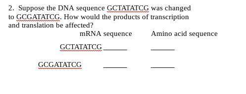 Suppose the DNA sequence GCTATATCG was changed to GCGATATCG. How would the products of transcriptio