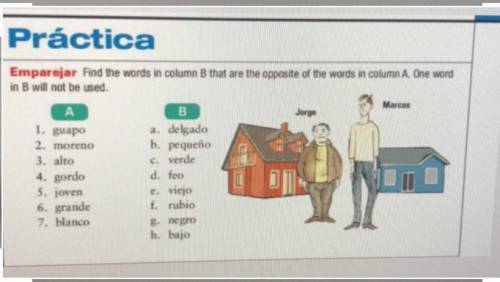 Práctica

1. guapo
Emparejar Find the words in column B that are the opposite of the words in colu