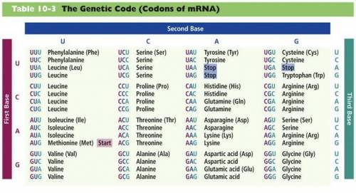 I NEED HELP ANSWERING A QUIZ QUESTION

For the following strand of DNA, identify the corresponding