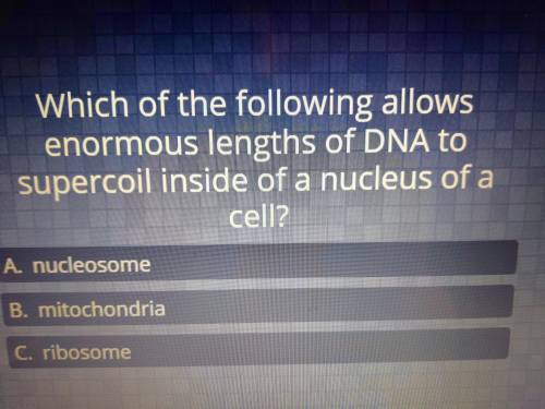 Help me on biology pls