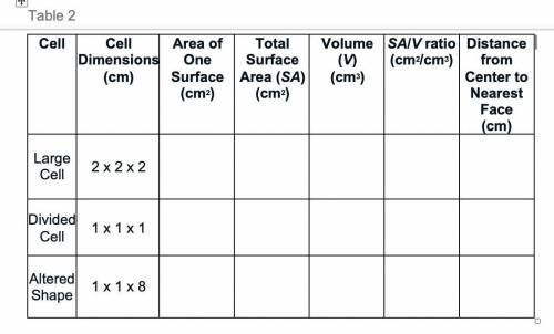 Part 1: What factors limit cell size?

1. What is surface area?
Surface area is the sum of the are