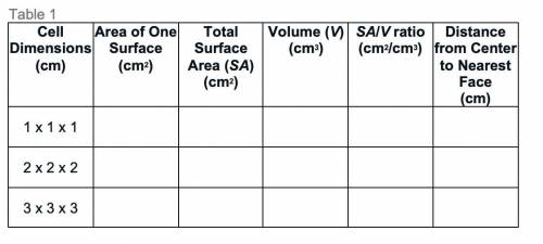 Part 1: What factors limit cell size?

1. What is surface area?
Surface area is the sum of the are