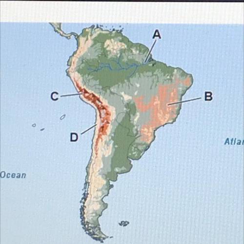Which letter on the map identifies the location of the Andes Mountains?
A
B
C
D