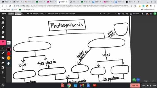 Photosynthesis flow chart