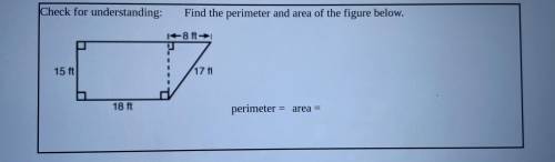 I got my perimeter and area of rectangle is also correct, but having trouble with area of the trian