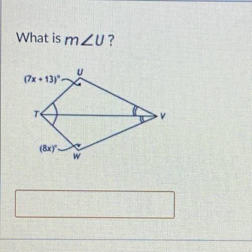 What is m
PLEASE help me!