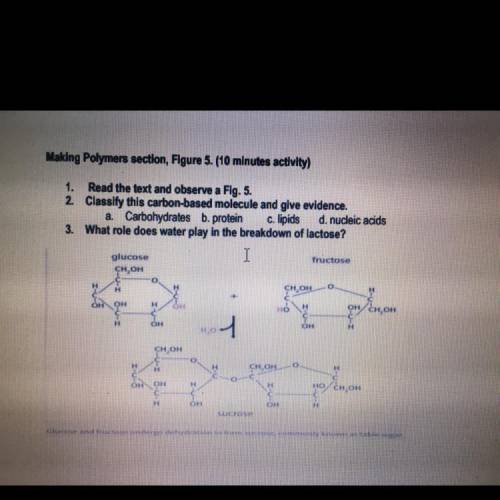What Carbon molecule is this,give evidence and what role does water play in the breakdown of lactos