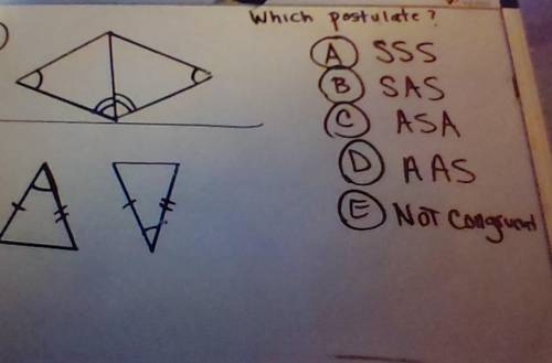 Pls help me w my geometry work