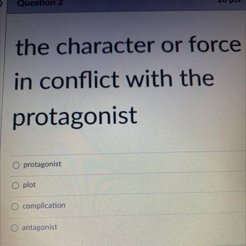 The character or force
in conflict with the
protagonist