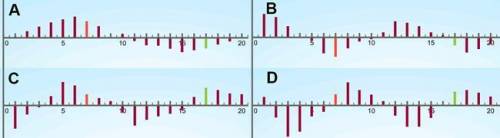 Which acceleration graph corresponds to the pressure graph shown?

A. Graph A
B. Graph B
C. Graph