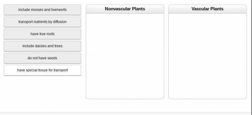 Determine whether the characteristics provided describe nonvascular or vascular plants