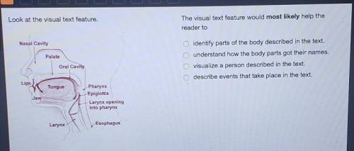 Look at the visual text feature. The visual text feature would most likely help the reader to Nasal