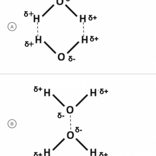 Which of the following is the most likely way that two water molecules will interact?