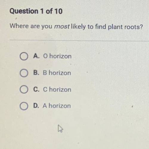 Where are you most likely to find plant roots?

A. O horizon
B. B horizon
C. Chorizon
D. A horizon