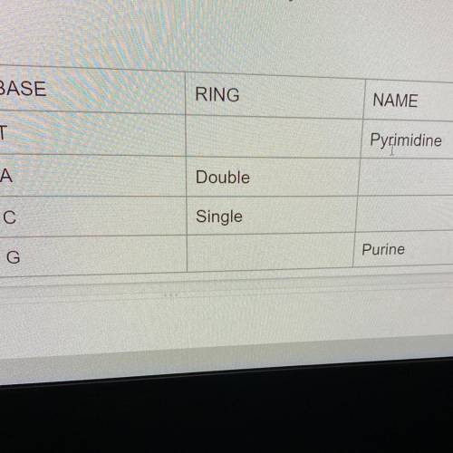 Complete The Table:BASE

RING
NAME
T
Pyrimidine
A
Double
С
Single
Purine
G