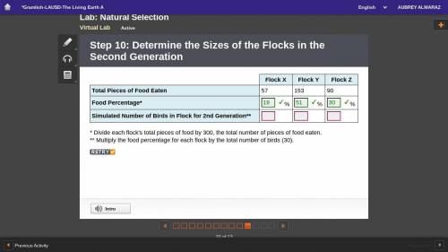Step 10: Determine the Sizes of the Flocks in the Second Generation

Flock X Flock Y Flock Z
Tota