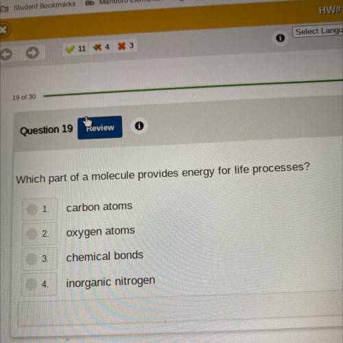 Which part of a molecule provides energy for life process?

1 carbon atoms 
2 oxygen atoms 
3chemi