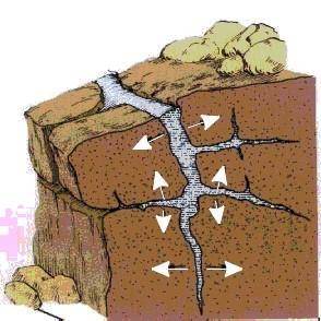 The image above is an example of what?

a. Divergent plate boundary 
b. Erosion
c. Weathering 
d.