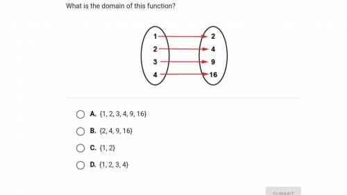 Can you help me please?? I don't understand.