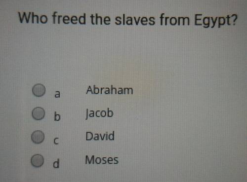 Who freed the slaves from egypt