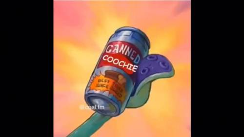 Is canned coochie good