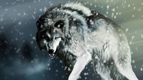 Cool wolf pics part 1