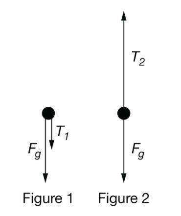 A ball of Mass M is swung in a vertical circle with a constant tangential speed. Figure 1 shows the
