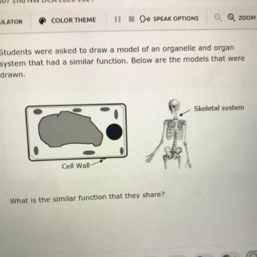 Students were asked to draw a model of an organelle and organ

system that had a similar function.