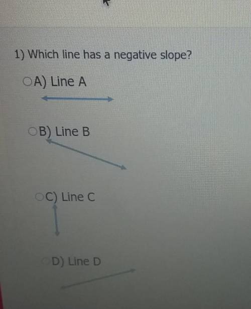 Which line has a negative slope?