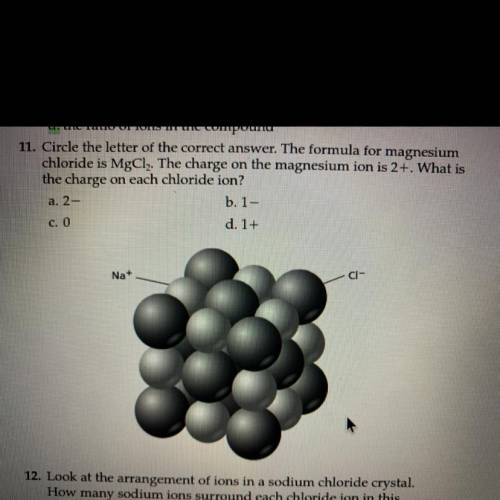 Number 11 please I really need help!!