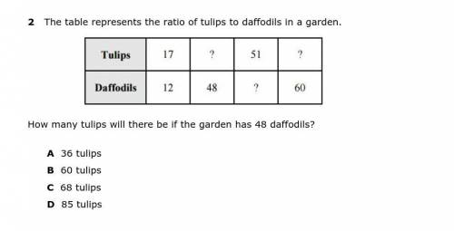 The table represents the ratio of tulips to daffodils in a garden.

How many tulips will there be