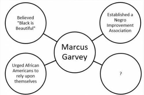 Which of the following best completes this graphic organizer?

A.Started a Back to Africa Moveme