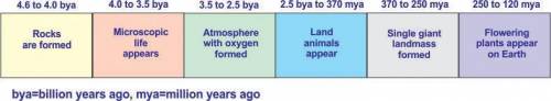 The diagram below shows a portion of the geologic time scale.

Based on the time scale, it can be