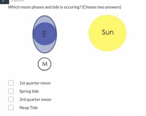 15 PTS PLEASE HURRYYYY

PLEASE BE CORRECT AND ILL MARK U AS BRANILIEST 
Which moon phases and tide