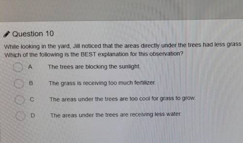 Question 10 While looking in the yard, Jill noticed that the areas directly under the trees had les
