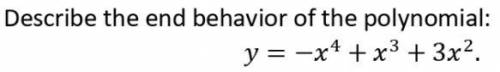 Describe the end behavior of the polynomial: