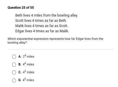 Whats the Answer Giving Brainliest:D