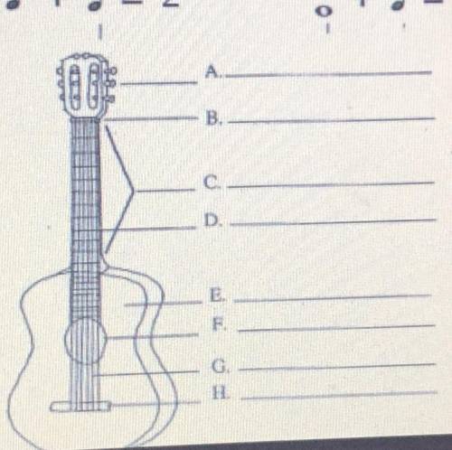 Label the parts of the guitar