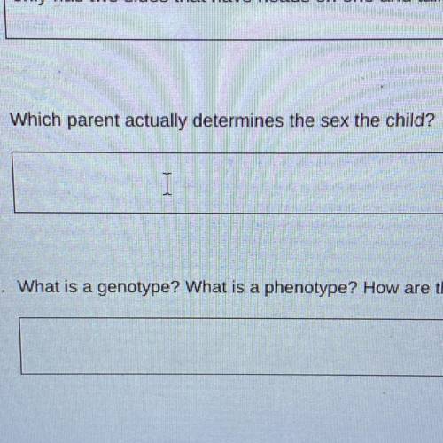 I need help with the je that asks which parent actually determines the sex the child